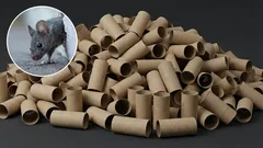  Ako sa zbaviť myší v domácnosti pomocou držiaka na toaletnú kefu: účinná domáca pasca