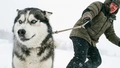 10 psích plemien, ktoré nezvyknutým majiteľom neodpustia chyby