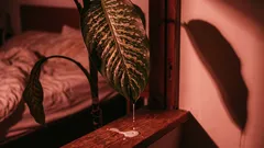 5 rastlín, ktoré vám znečisťujú vzduch namiesto toho, aby ho čistili