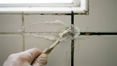 Dlaždice a škáry v kúpeľni budú ako nové: rýchly spôsob, ako sa zbaviť nečistôt a plesne