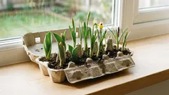 Nevyhadzujte kartónovú škatuľu na vajcia: za pár minút sa z nej môže stať najkrajšia jarná dekorácia.